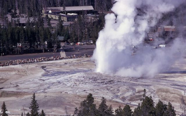 Old Faithful Geyser as seen from Observation Point - Upper Geyser Basin Picture