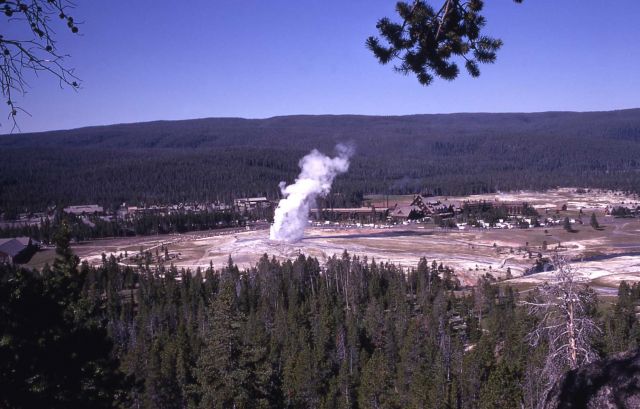 Old Faithful Geyser as seen from Observation Point - Upper Geyser Basin Picture