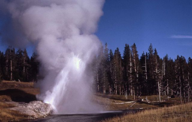 Riverside Geyser - Upper Geyser Basin Picture
