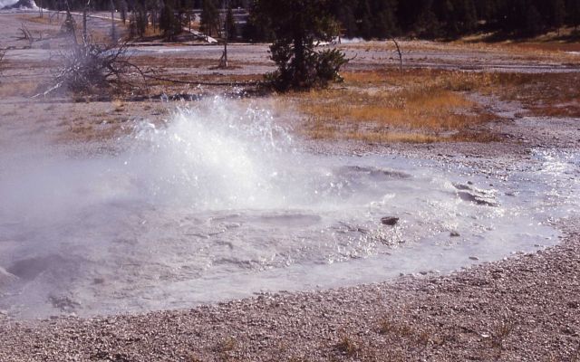 Bulger Geyser - Upper Geyser Basin Picture