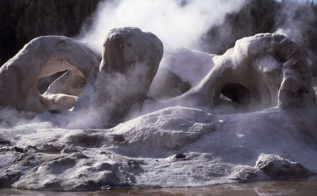 Grotto Geyser - Upper Geyser Basin Picture