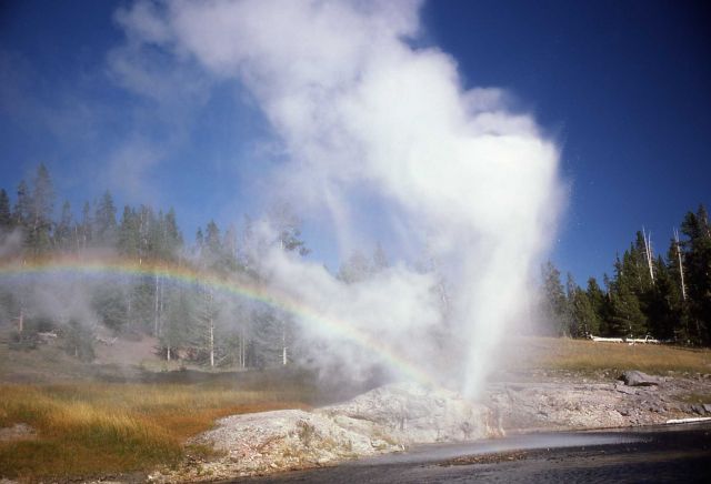 Riverside Geyser with rainbow - Upper Geyser Basin Picture