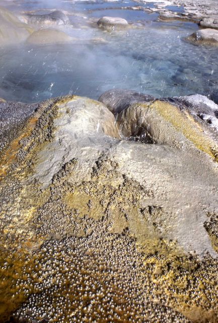 Daisy Geyser - Upper Geyser Basin Picture