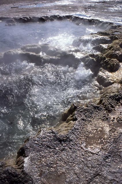 Splendid Geyser - Upper Geyser Basin Picture