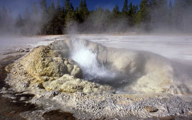 Comet Geyser - Upper Geyser Basin Picture