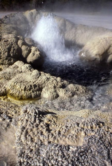 Comet Geyser - Upper Geyser Basin Picture