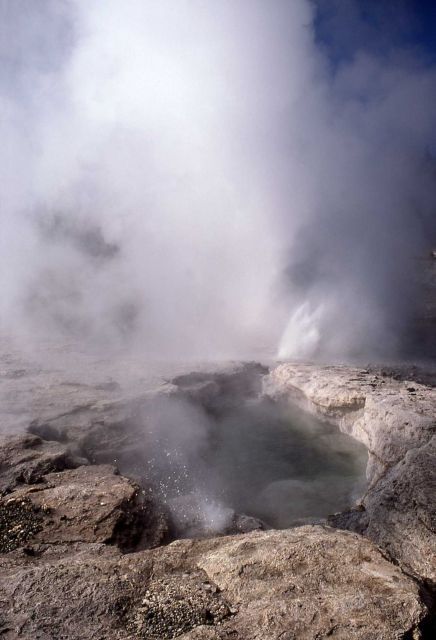 Fan Geyser - Upper Geyser Basin Picture