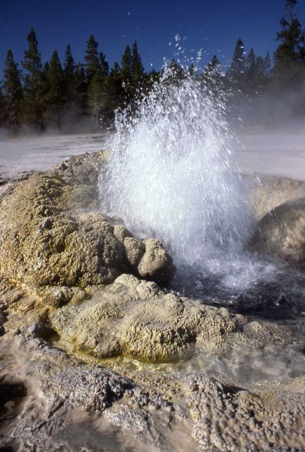 Comet Geyser - Upper Geyser Basin Picture