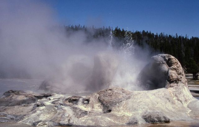 Grotto Geyser in the water phase - Upper Geyser Basin Picture