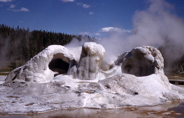 Grotto Geyser - Upper Geyser Basin Picture