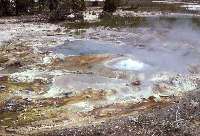 Unnamed geyser - West Thumb Geyser Basin Picture