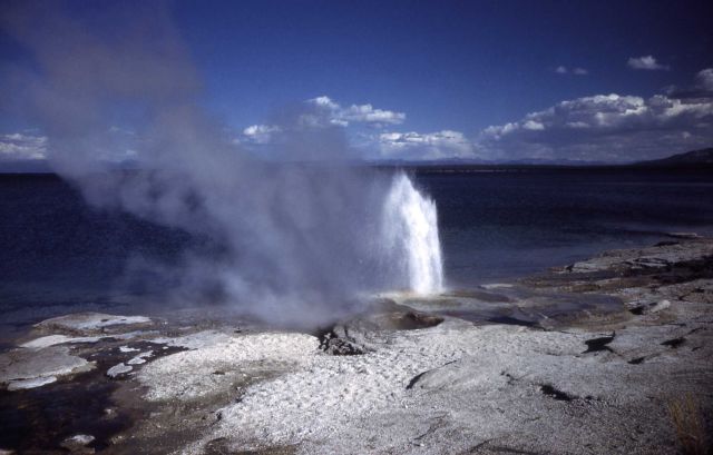 Lakeshore Geyser - West Thumb Geyser Basin Picture