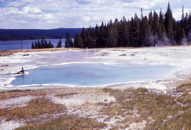 Columbia Spring - Hot Springs, Heart Lake Geyser Basin Picture