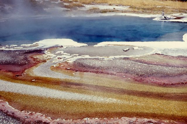 Columbia Spring - algae pattern in run off - Hot Springs, Heart Lake Geyser Basin Picture