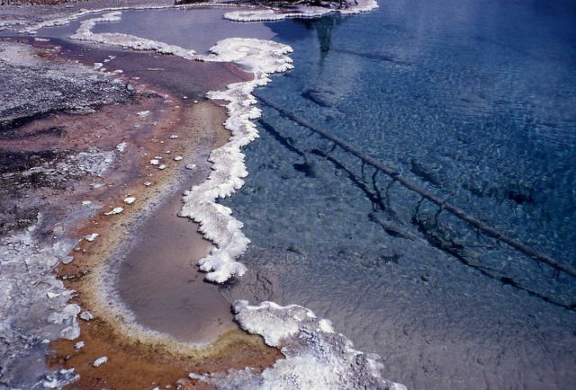 Margin of Columbia Spring - Hot Springs, Heart Lake Geyser Basin Picture