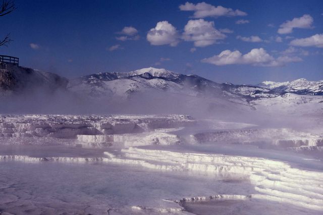 Main Terrace - Mammoth Hot Springs Picture