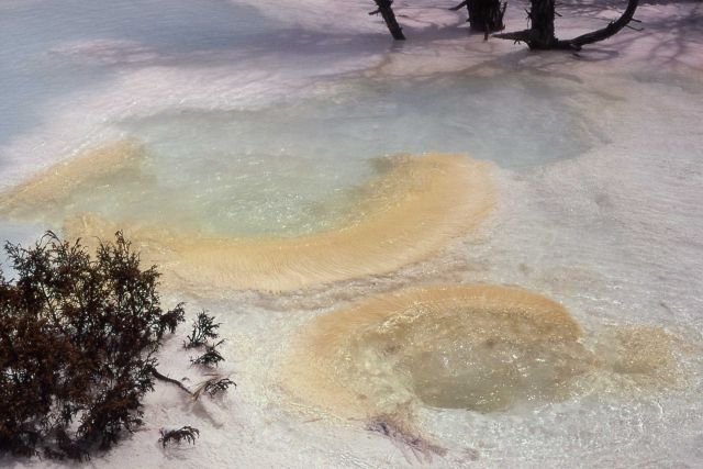 Main Terrace - Mammoth Hot Springs Picture