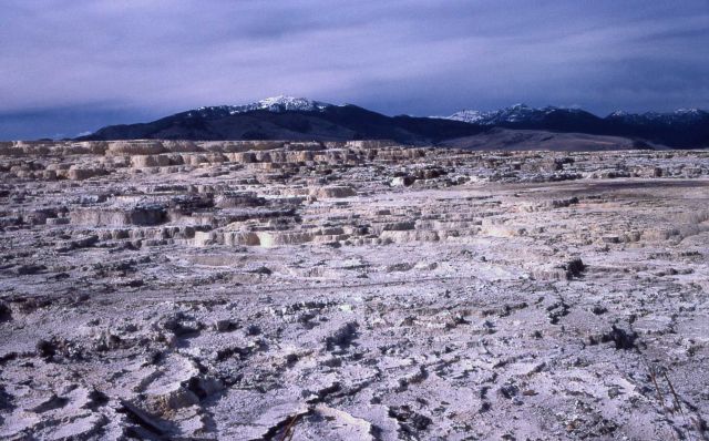 Main Terrace - Mammoth Hot Springs Picture