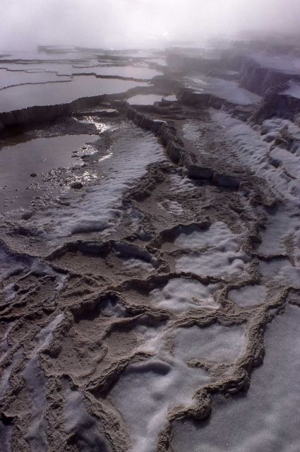 Main Terrace - Mammoth Hot Springs Picture