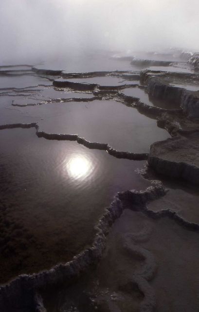 Main Terrace - Mammoth Hot Springs Picture