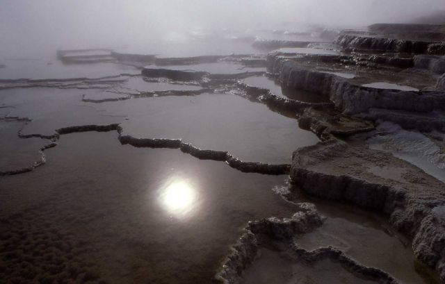 Main Terrace - Mammoth Hot Springs Picture