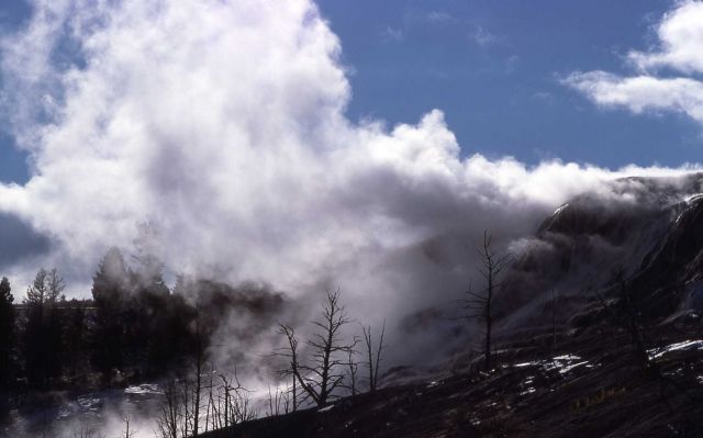 Main Terrace - Mammoth Hot Springs Picture