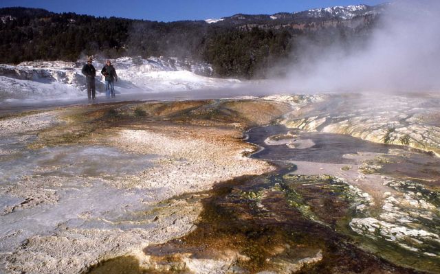 On top of Main Terrace - Mammoth Hot Springs Picture