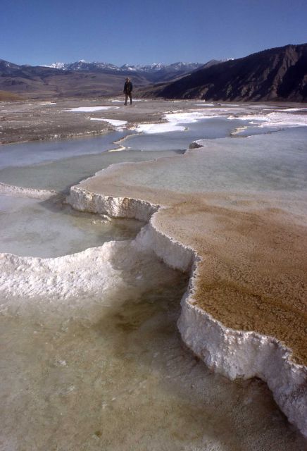 On top of Main Terrace - Mammoth Hot Springs Picture