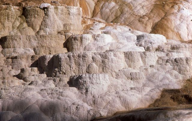 New Highland Terrace - Mammoth Hot Springs Picture