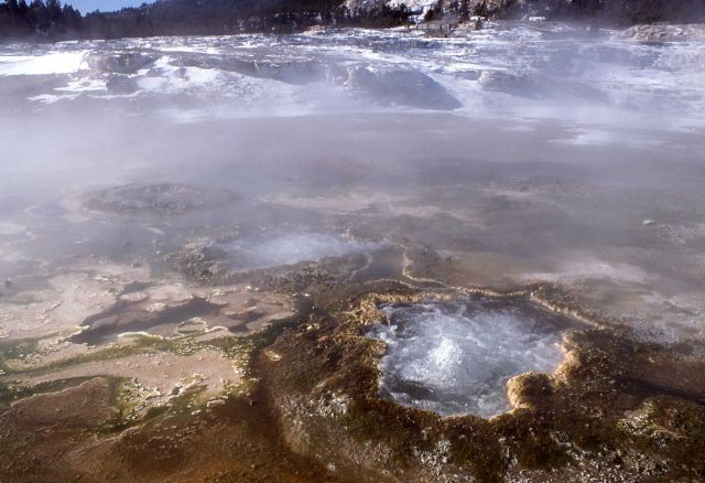 Top of Main Terrace - Mammoth Hot Springs Picture