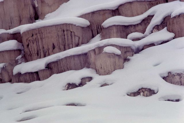 Inactive area of Minerva Terrace - Mammoth Hot Springs Picture