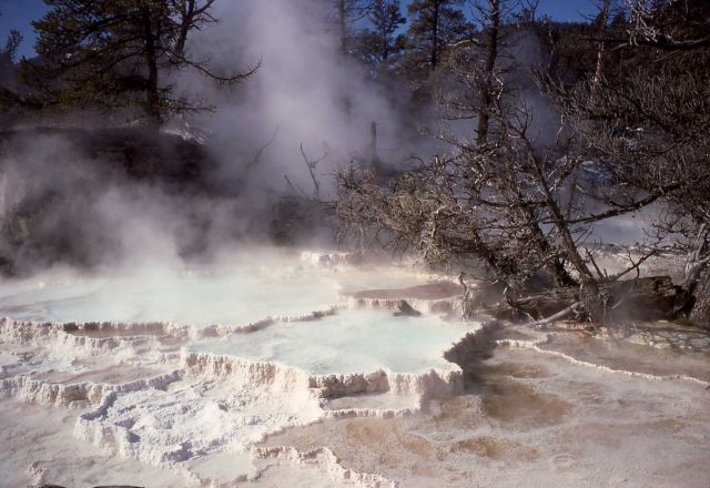 New terrace - Mammoth Hot Springs Picture