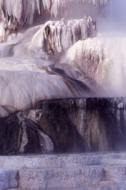 Detail on Minerva Terrace - Mammoth Hot Springs Picture