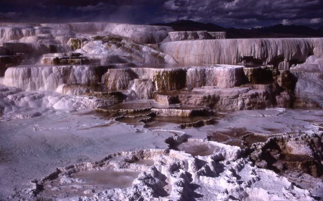 Minerva Terrace - Mammoth Hot Springs Picture