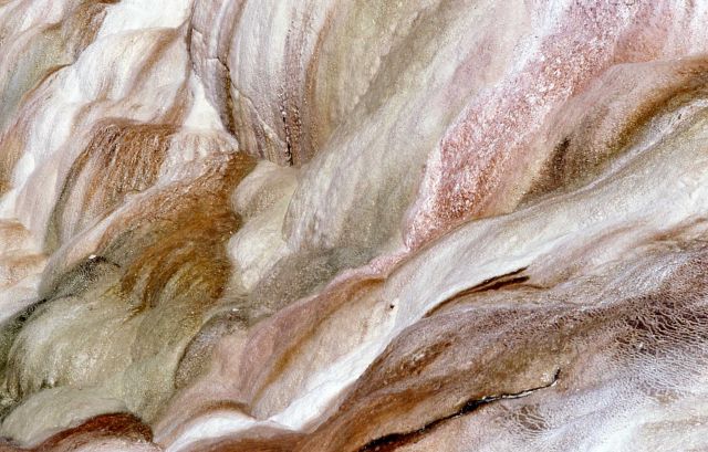 Cupid Spring - Mammoth Hot Springs Picture