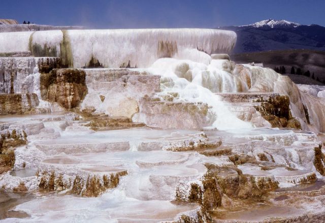 Minerva Terrace - Mammoth Hot Springs Picture