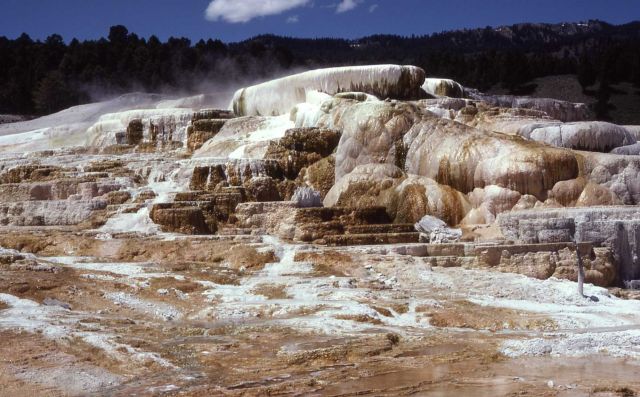 Minerva Terrace - Mammoth Hot Springs Picture