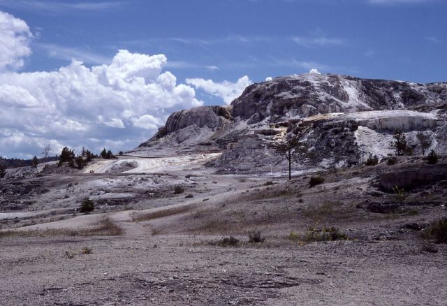 Naiad Spring - Mammoth Hot Springs Picture