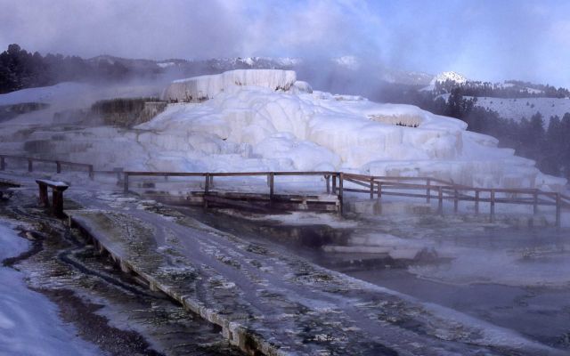 Minerva Terrace with increased activity flooding walk - Mammoth Hot Springs Picture