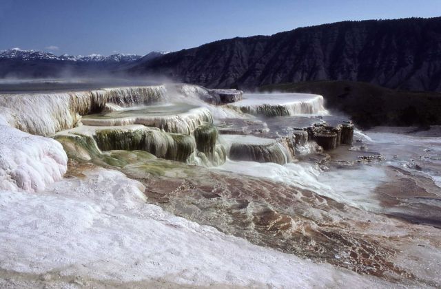 Main Terrace - Mammoth Hot Springs Picture