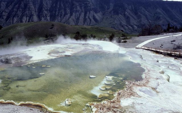 Top of Minerva Spring - Mammoth Hot Springs Picture