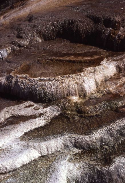 Close up of Minerva formation - Mammoth Hot Springs Picture