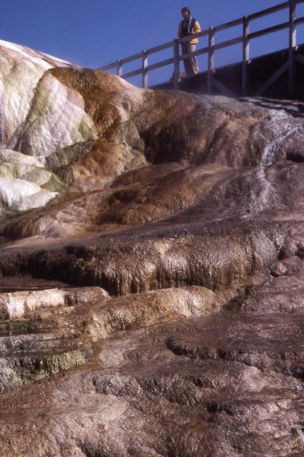 Cupid Spring - Mammoth Hot Springs Picture