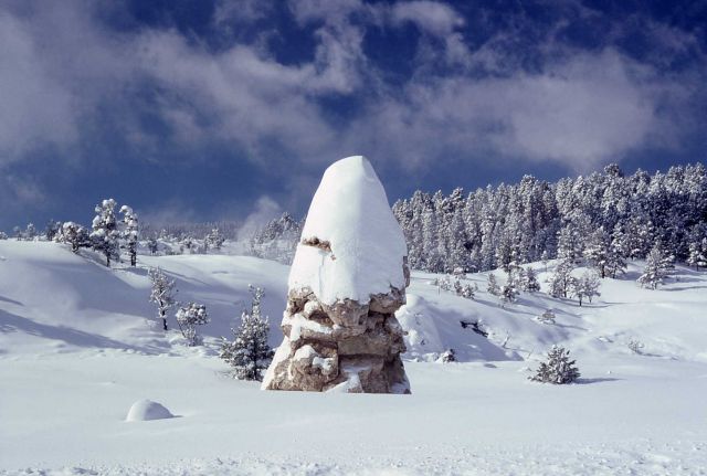 Snow covered Liberty Cap - Mammoth Hot Springs Picture