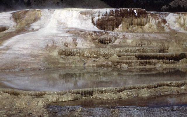 Angel Terrace - still active - Mammoth Hot Springs Picture