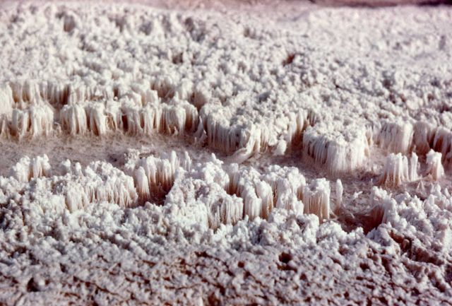 Close up of Angel Terrace - Mammoth Hot Springs Picture