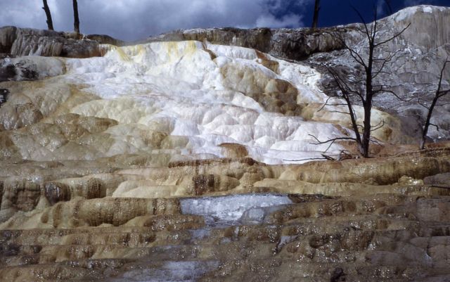 Highland Terrace - Mammoth Hot Springs Picture