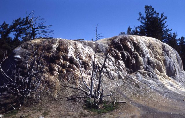 Orange Mound Spring - Mammoth Hot Springs Picture