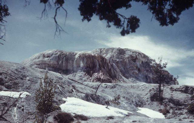 Elephant Back Terrace - Mammoth Hot Springs Picture