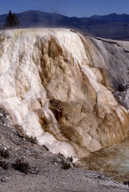 Canary Spring - Mammoth Hot Springs Picture